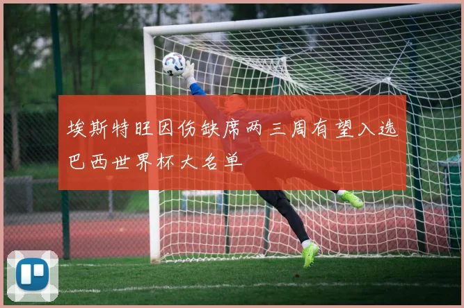 埃斯特旺因伤缺席两三周有望入选巴西世界杯大名单